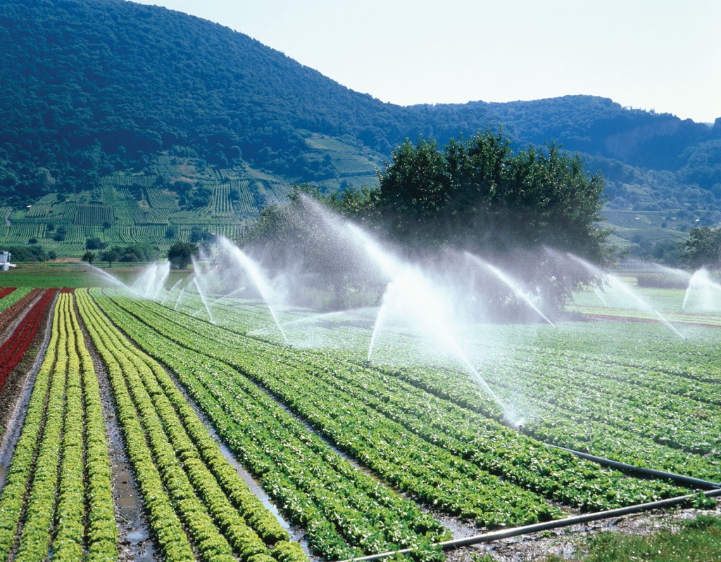 Irrigation Grants: Farmers from 14 Districts of Moldova to Receive Financial Support